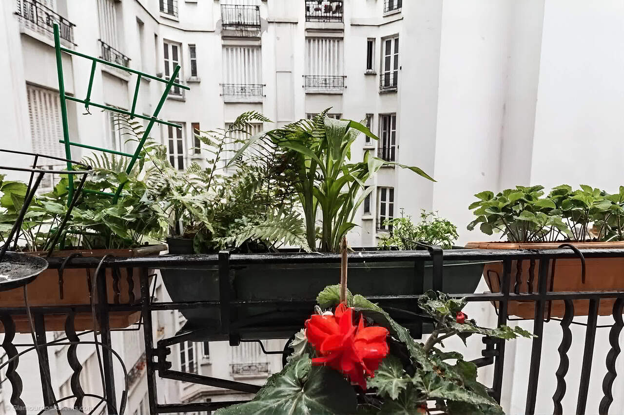 La région / environnement