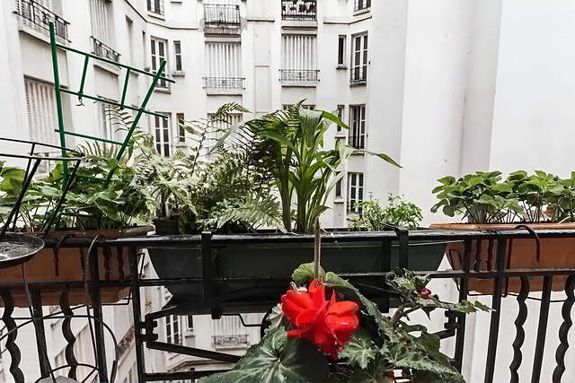 La région / environnement