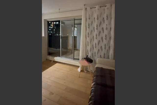 Description générale