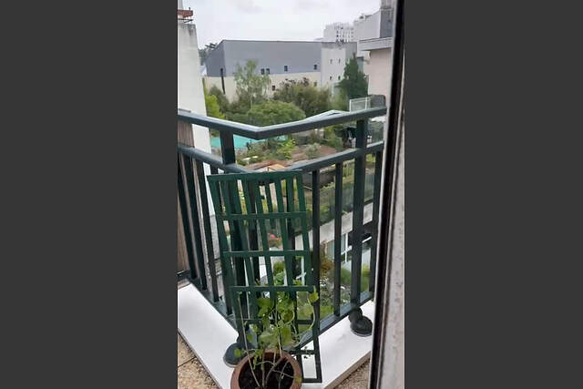 Description générale