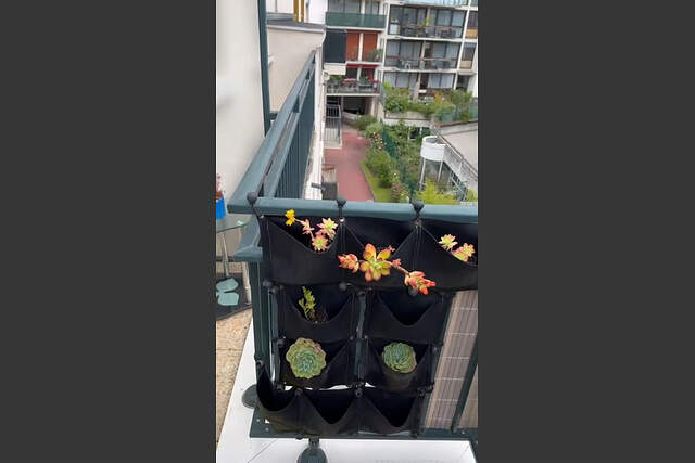 Description générale