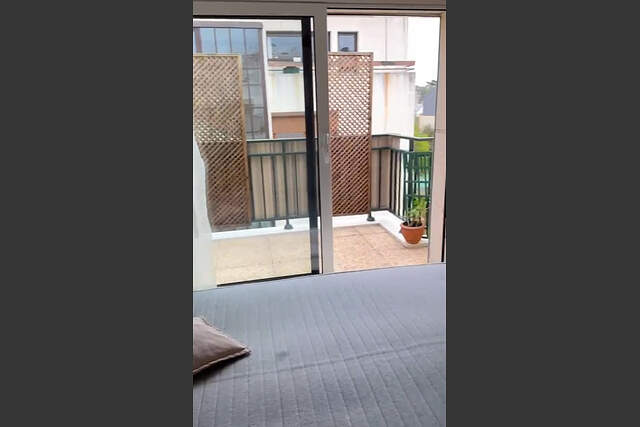 Description générale