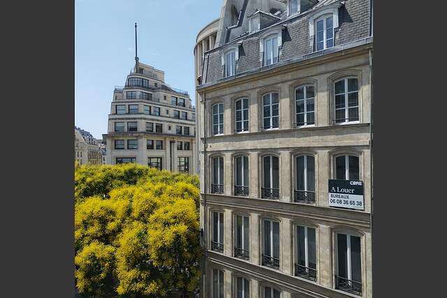 Description générale