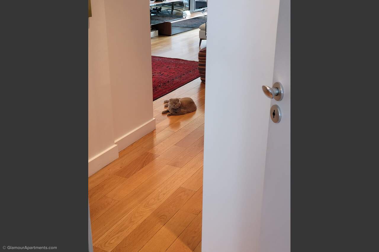 Description générale