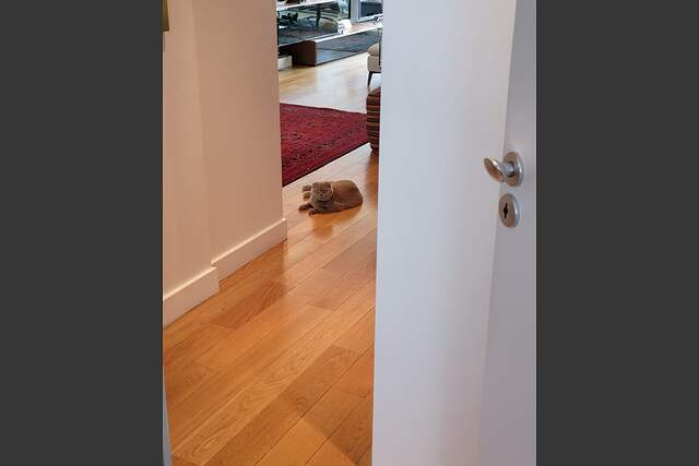 Description générale