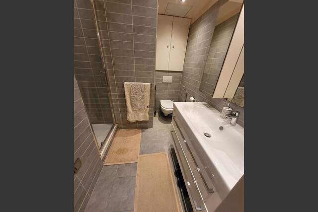 Description générale