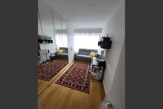 Description générale