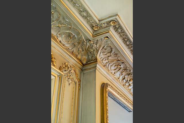 Description générale