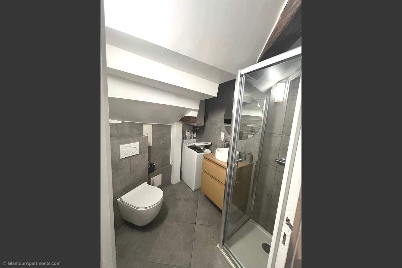 Description générale