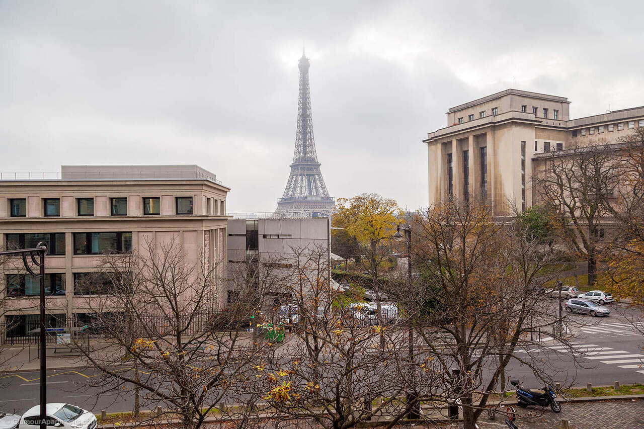 Président Wilson vue Tour Eiffel 